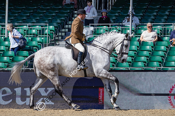 Royal Windsor Horse Show