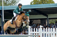 The Agria Royal International Horse Show
