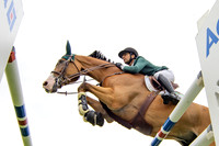 The Agria Royal International Horse Show