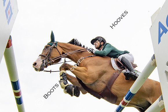 The Agria Royal International Horse Show