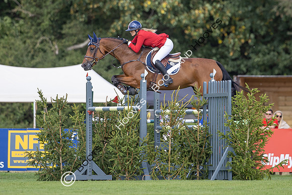 The Agria Royal International Horse Show