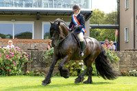 The Agria Royal International Horse Show