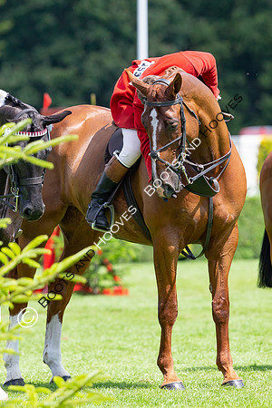 The AGRIA Royal International Horse Show
