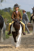 The Agria Royal International Horse Show