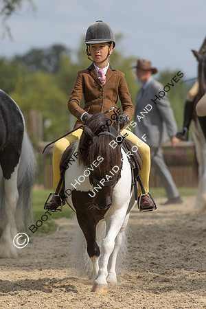 The Agria Royal International Horse Show