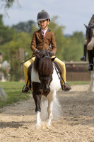 The Agria Royal International Horse Show