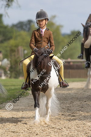 The Agria Royal International Horse Show