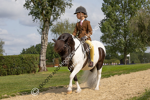 The Agria Royal International Horse Show