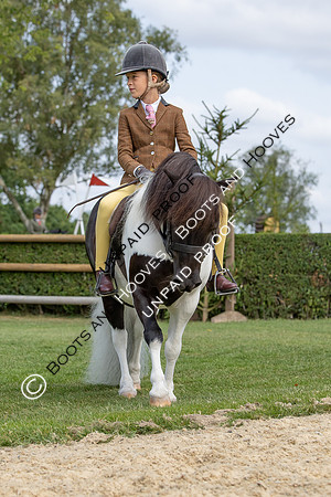 The Agria Royal International Horse Show