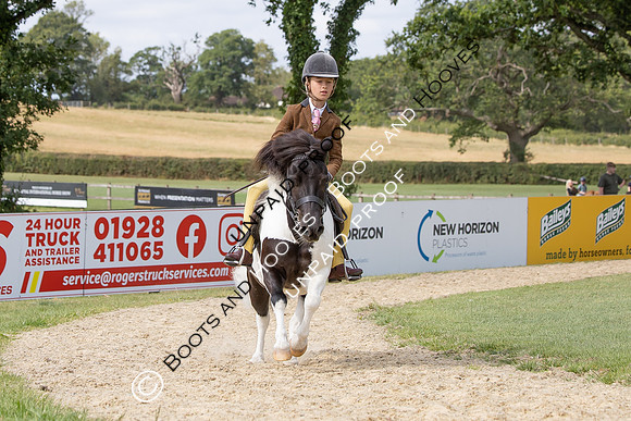 The Agria Royal International Horse Show