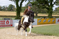The Agria Royal International Horse Show