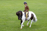 The Agria Royal International Horse Show