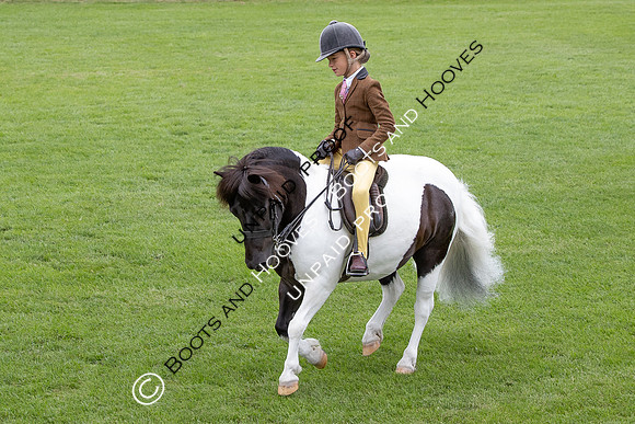 The Agria Royal International Horse Show