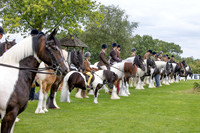 The Agria Royal International Horse Show
