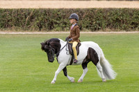 The Agria Royal International Horse Show