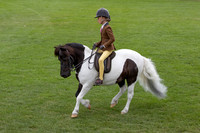 The Agria Royal International Horse Show