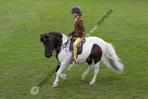 The Agria Royal International Horse Show