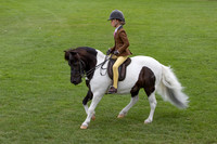 The Agria Royal International Horse Show