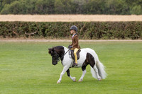 The Agria Royal International Horse Show