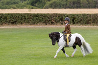 The Agria Royal International Horse Show