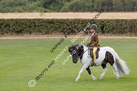 The Agria Royal International Horse Show