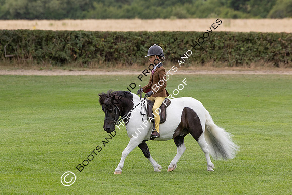 The Agria Royal International Horse Show