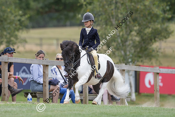 The Agria Royal International Horse Show
