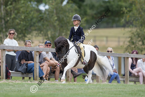 The Agria Royal International Horse Show