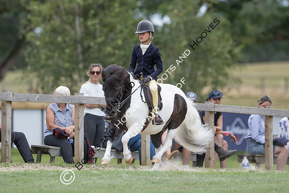 The Agria Royal International Horse Show
