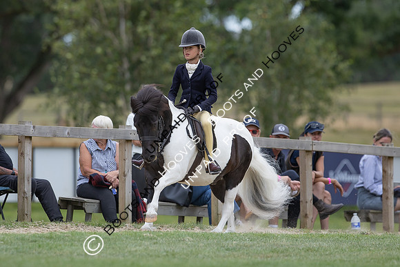 The Agria Royal International Horse Show