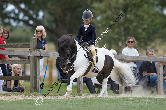 The Agria Royal International Horse Show