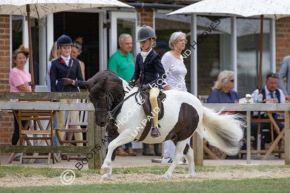 The Agria Royal International Horse Show