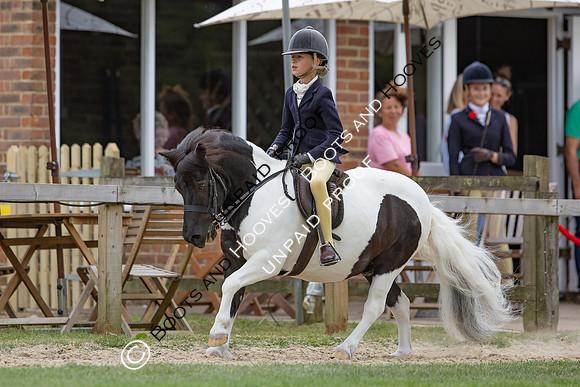 The Agria Royal International Horse Show