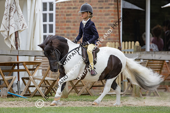 The Agria Royal International Horse Show