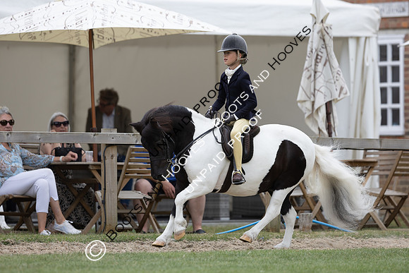 The Agria Royal International Horse Show