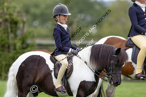 The Agria Royal International Horse Show