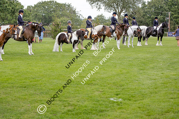 The Agria Royal International Horse Show