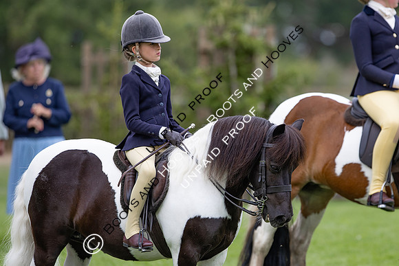 The Agria Royal International Horse Show