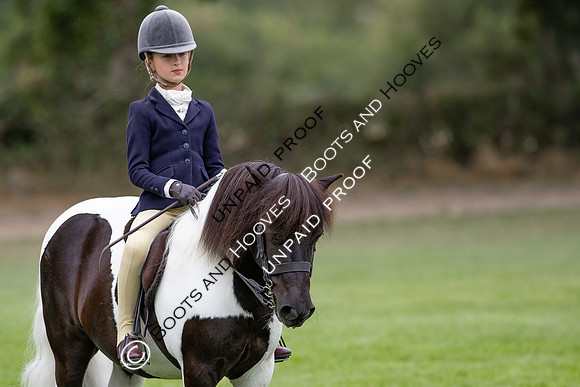 The Agria Royal International Horse Show