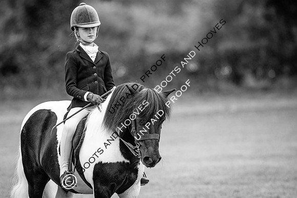 The Agria Royal International Horse Show