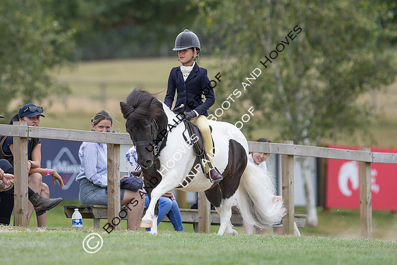 The Agria Royal International Horse Show