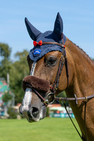 The Agria Royal International Horse Show