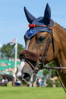The Agria Royal International Horse Show