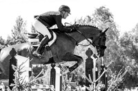 The Agria Royal International Horse Show