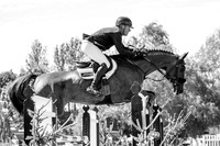The Agria Royal International Horse Show