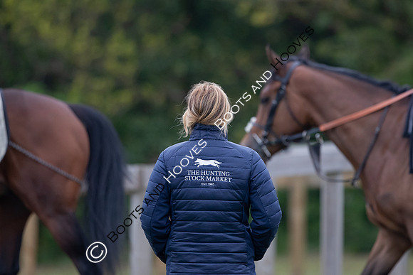 Newmarket Gallops