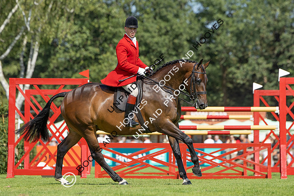 The Agria Royal International Horse Show