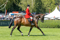 The Agria Royal International Horse Show