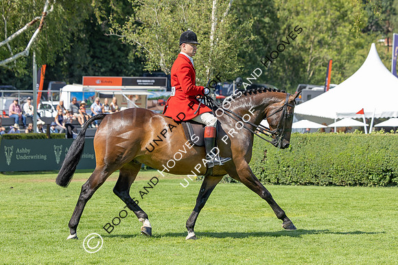 The Agria Royal International Horse Show