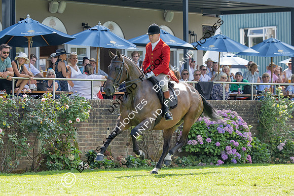The Agria Royal International Horse Show